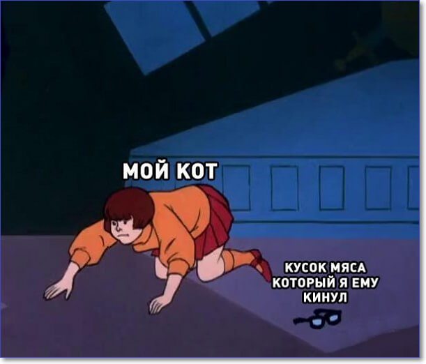 Применим физику в постели или белка и стрелка. Картинки