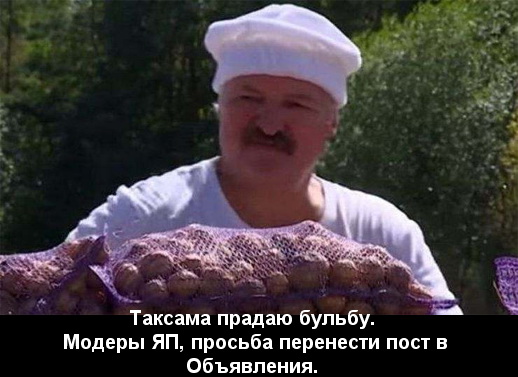 Урожай 2019. На зависть братьям-белорусам
