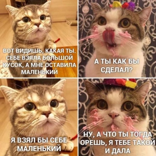 Чуток картинок 1 апреля