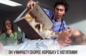 Сколько должна зарабатывать женщина, чтобы позволить себе семью?