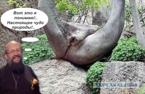Фотожаба: Онотоле
