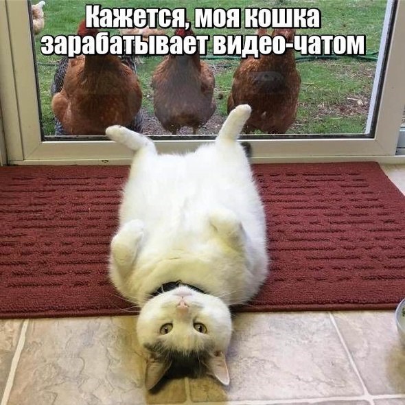 Так себе картинки 10.06.20