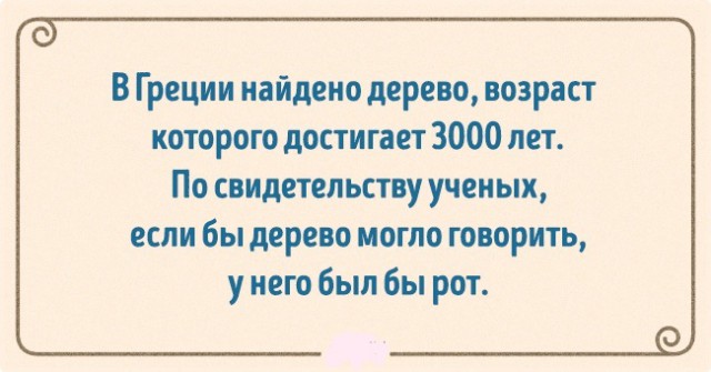 Бредзона 14.09.2020