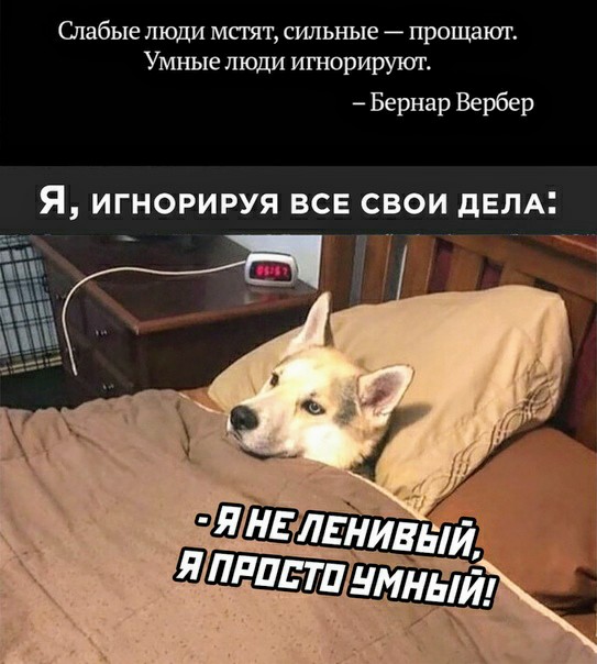 Немного картинок для настроения 18.11.20