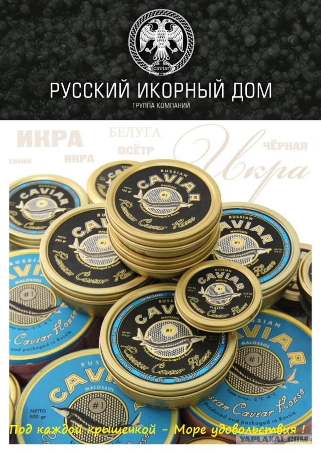 Выиграй 3кг черной икры!