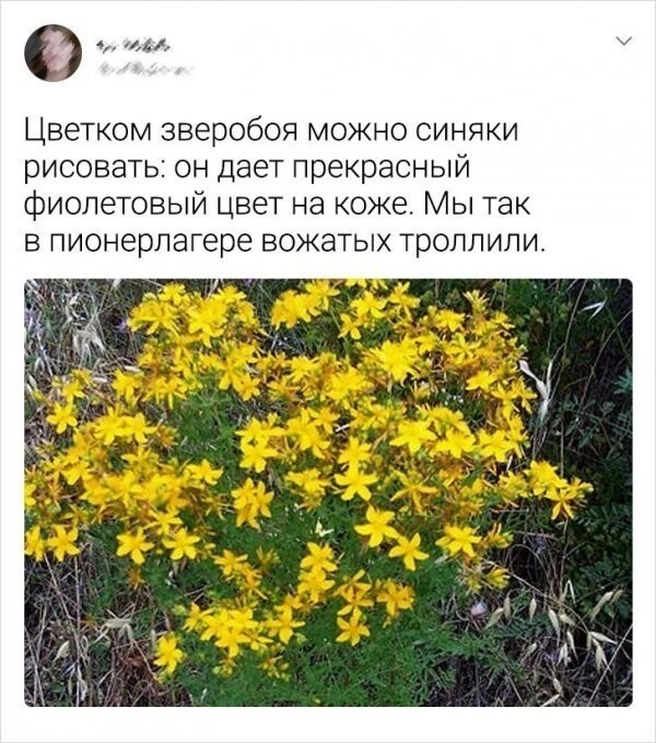 Пользователи Сети о советском детстве