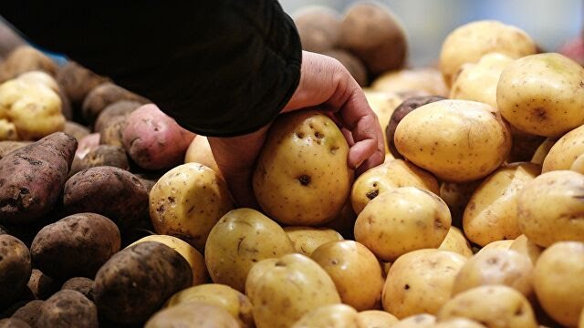 Производители предложили сетям пустить в продажу картофель «экономкласса»
