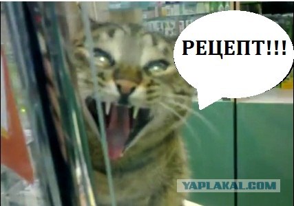 Кот заведует аптекой