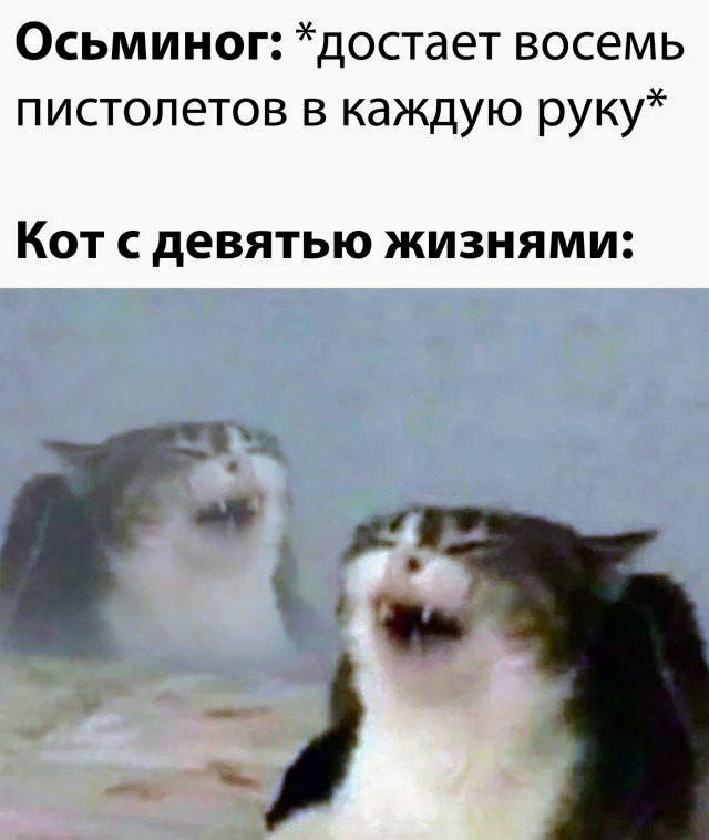 Картинки и мемы для настроения