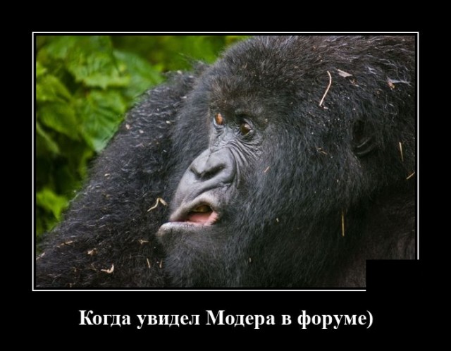 Картинки и мемы для настроения 30.04.21