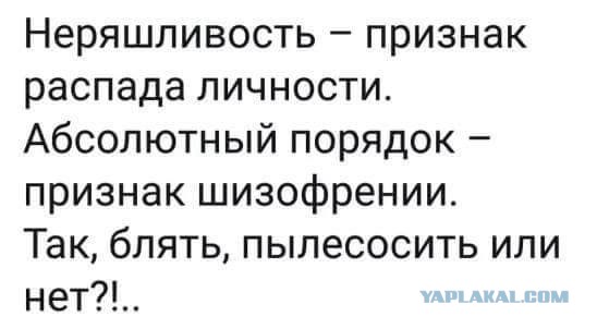 Палитра разума