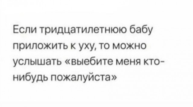 Забавные и веселые картинки