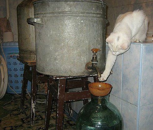 Клуб анонимных алкоголиков