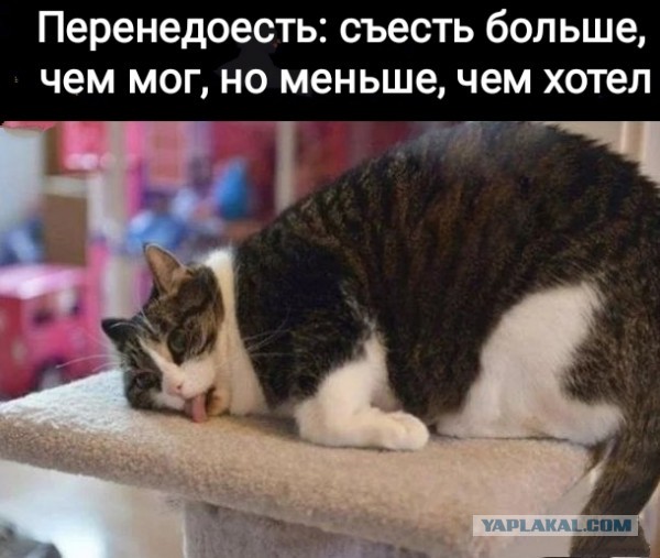 Так себе картинки 30.10.22