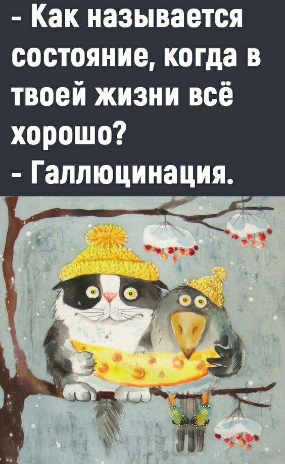 Прикольные и просто красивые картинки 06.12.2022