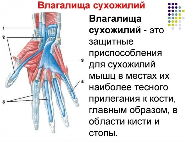 Девчата для тонуса - 54