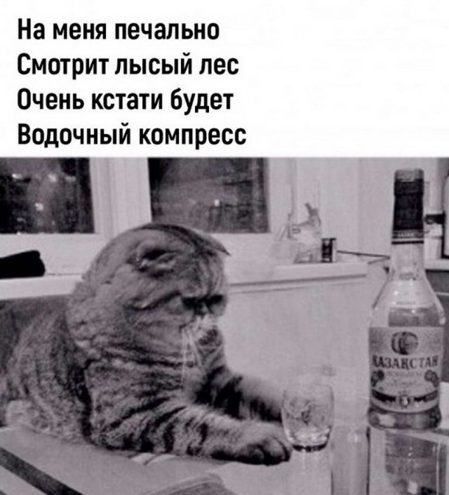 Немного картинок для настроения - 177