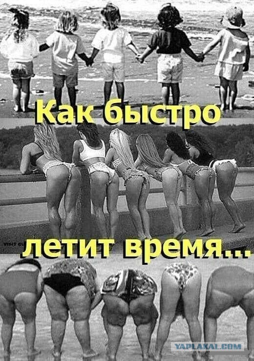 Жопы старух 
