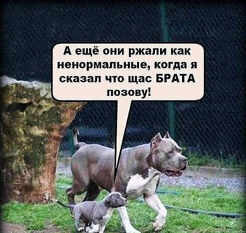 Десятая подборка самых баянистых баянов! Ностальгируем...