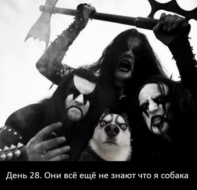 Юмор в картинках и без 26.07.2023