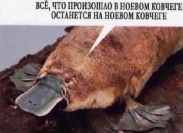 Отряд быстрого деградирования