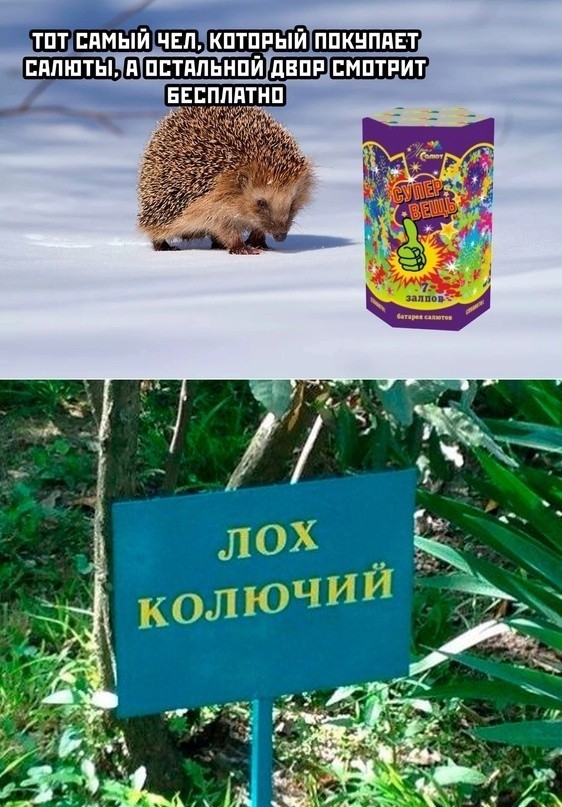 Весёлый полтишок 05.01.24