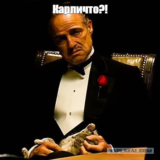 РСП - взгляд с другой стороны