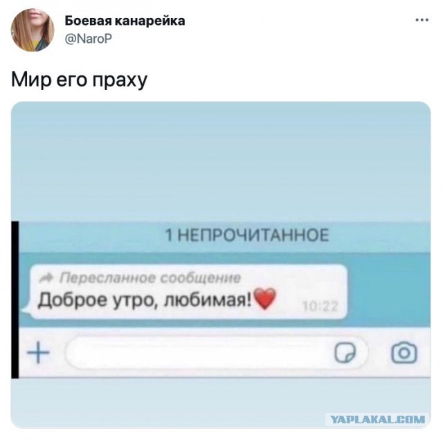 Деградируем и подпеваем - v. 2,0