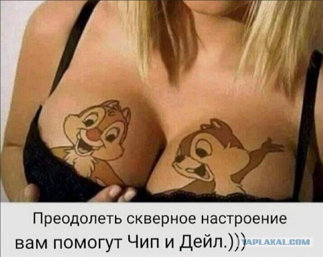 Так себе картинки 01.11.24