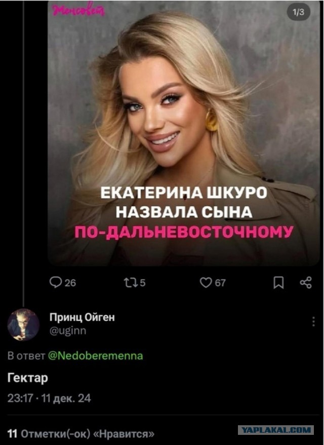 Веселые картинки к понедельнику (16.12)