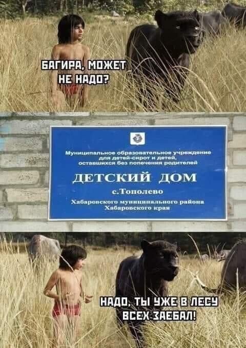 Завалялось тут случайно немного забавных картинок