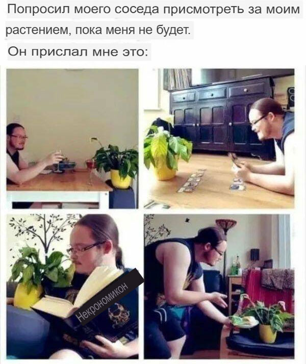 Завалялось тут случайно немного забавных картинок