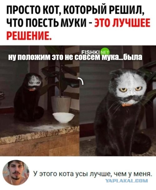 Ни о чем не жалею
