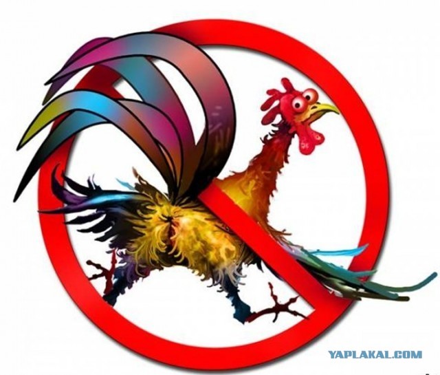 Реакция американцев