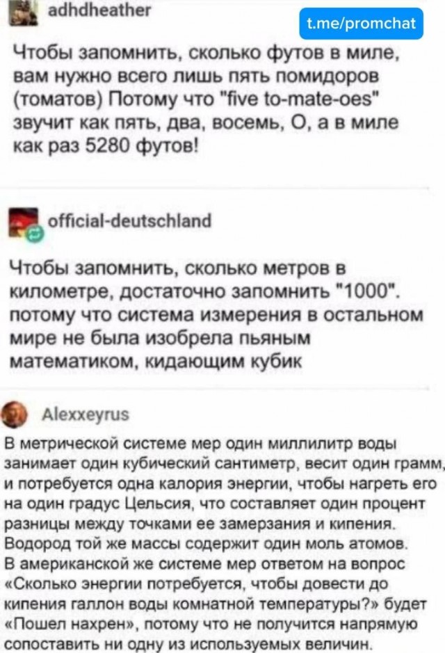 Так себе картинки 29.12.25