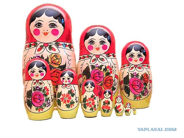 Что внутри кошки?