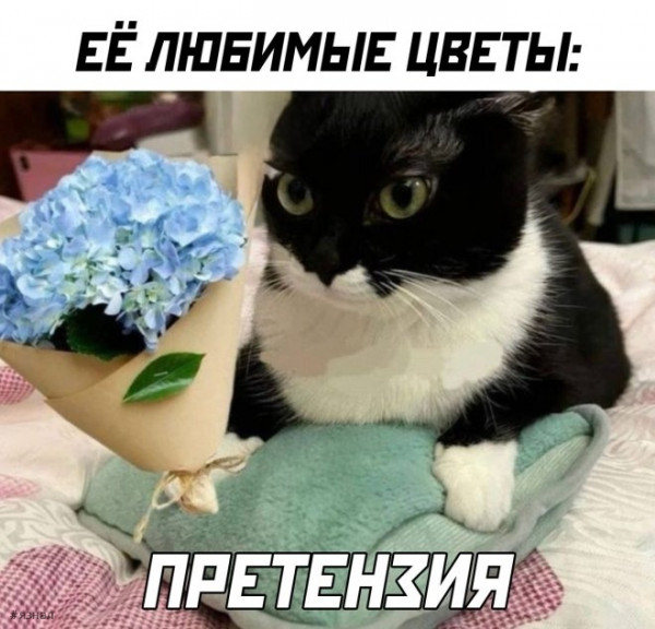 Дегрономикон 10