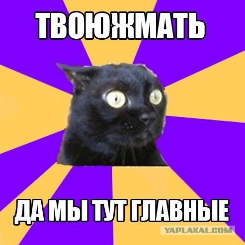 Ловушка для сладкоежки!
