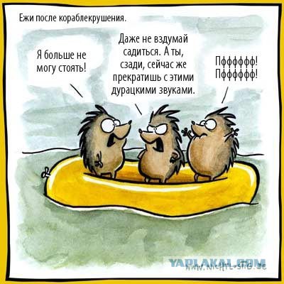 Фотки из интернета.