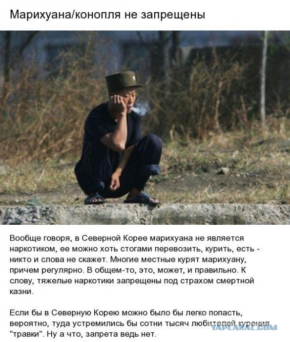 Что запрещено снимать в Северной Корее