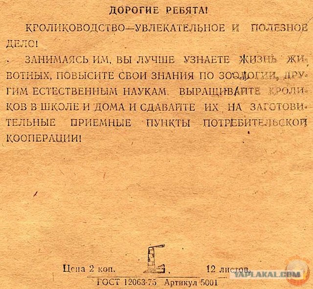 Тетрадная ностальгия.