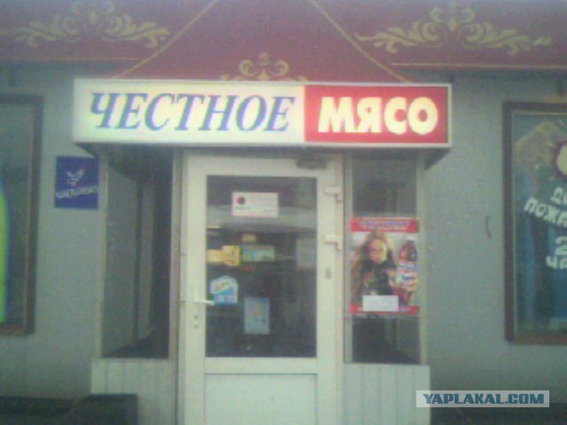 Просто забавные фотки из мобильника