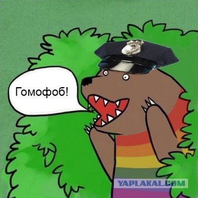 Медведи почти на все случаи жизни