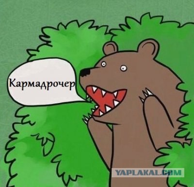 Медведи почти на все случаи жизни