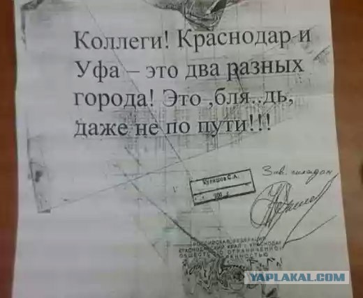 Новые "комментарии из соцсетей"