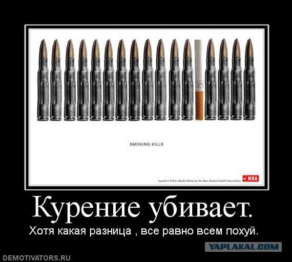 Вышел сегодня во двор покурить.