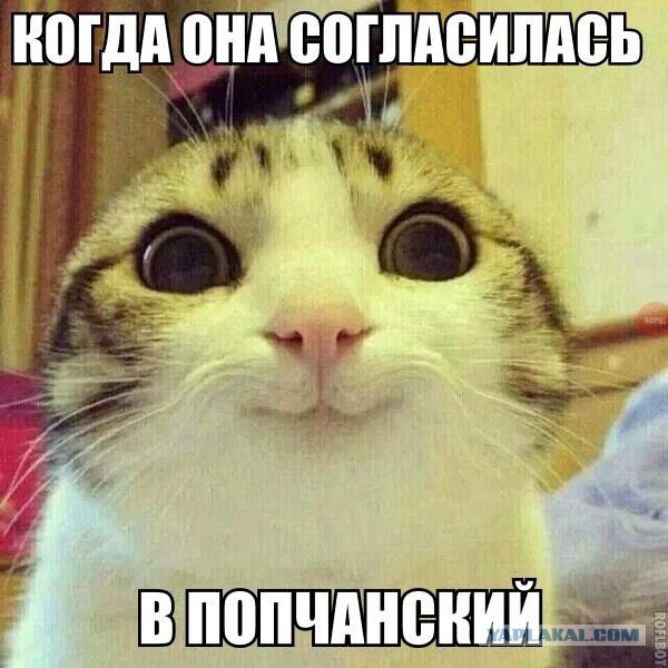 Немного позитива на пятницу