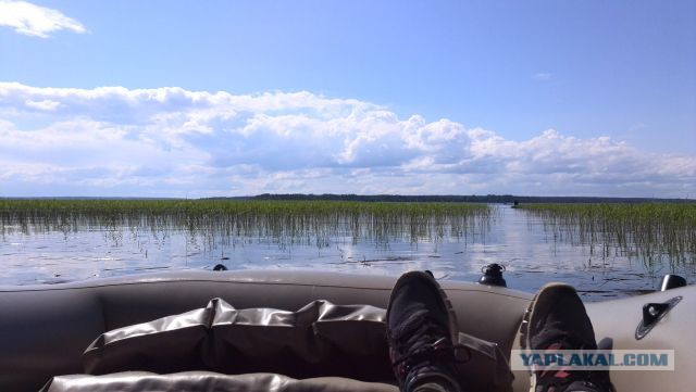 Люблю свой кусочек Рая на земле...