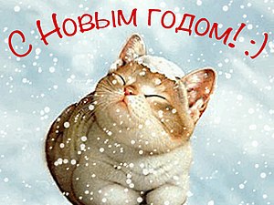 ЯП 1 000 000