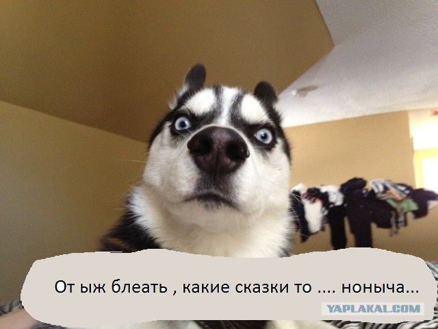 Не шути с бегемотиком